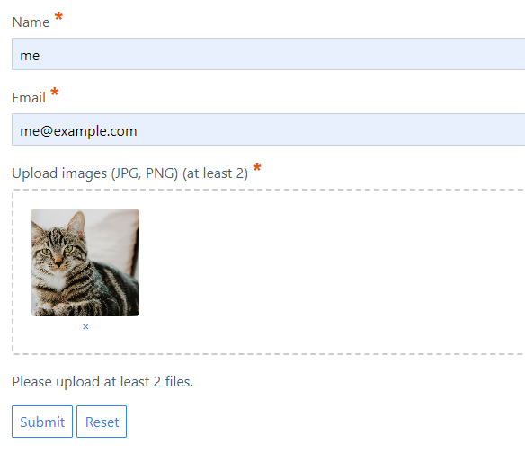 Screenshot of required file upload field|579x500